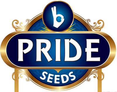 Pride Seeds