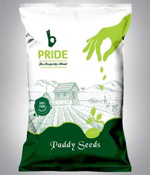 Paddy Seeds